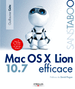 Lion Efficace